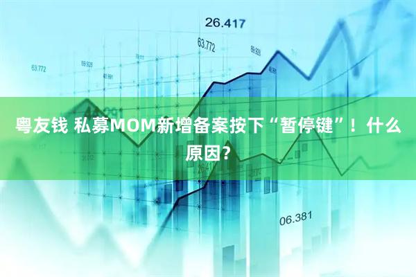 粤友钱 私募MOM新增备案按下“暂停键”！什么原因？