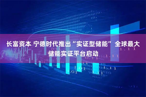长富资本 宁德时代推出“实证型储能” 全球最大储能实证平台启动
