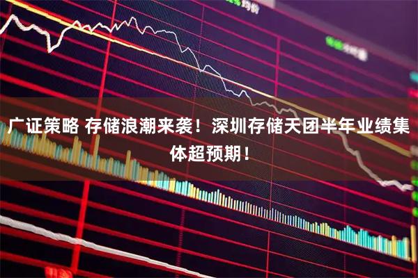 广证策略 存储浪潮来袭！深圳存储天团半年业绩集体超预期！