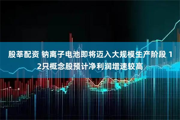 股莘配资 钠离子电池即将迈入大规模生产阶段 12只概念股预计净利润增速较高